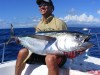 Yellowfin tuna on orion pencil popper